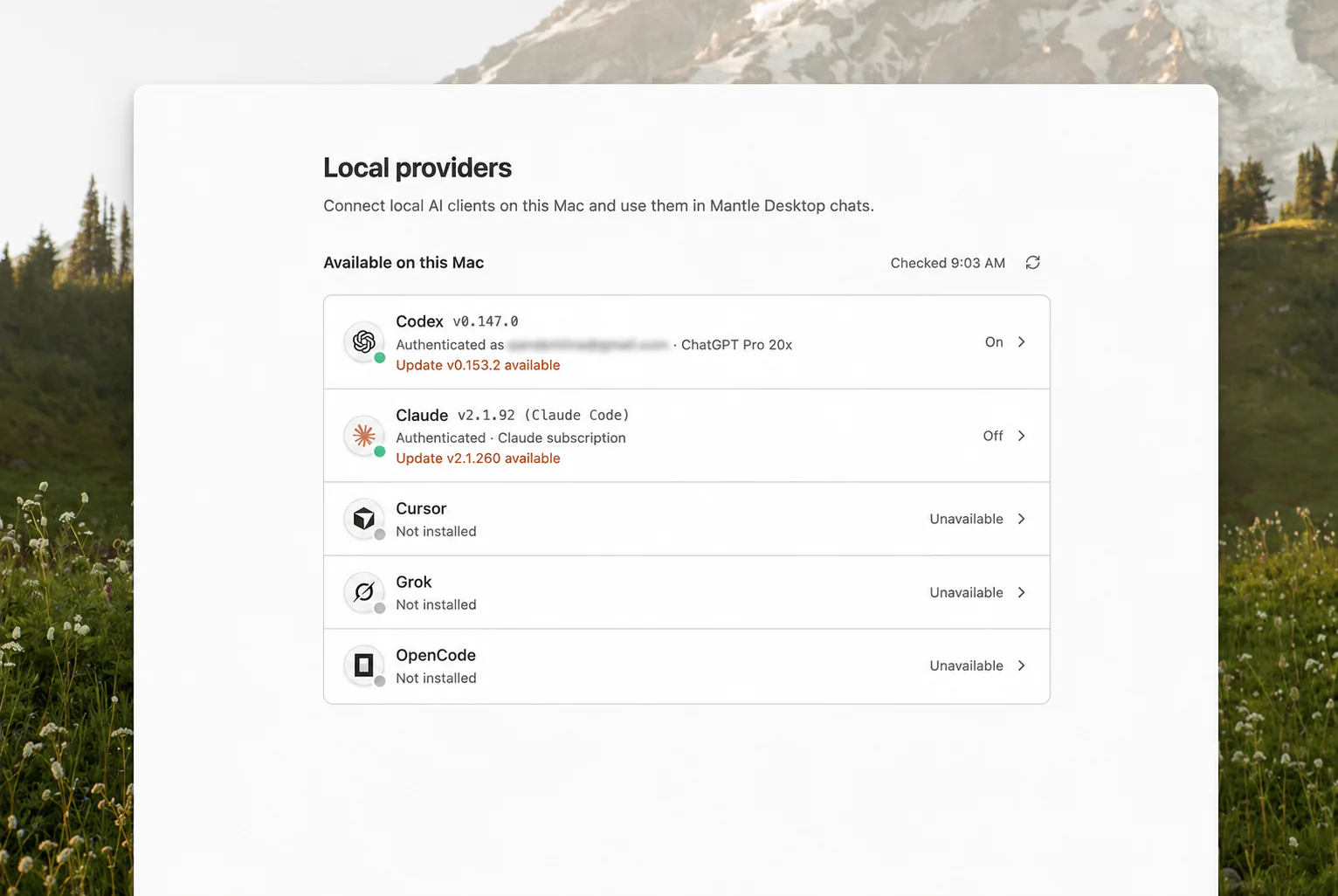 Local AI providers available in Mantle Chat Desktop